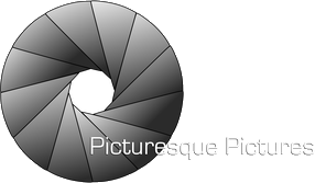 pp-logo-web